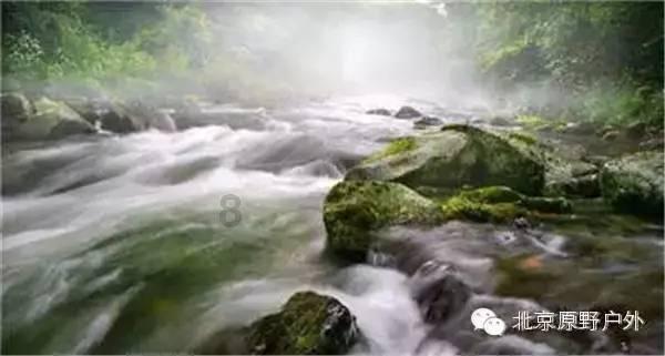 急速变色龙